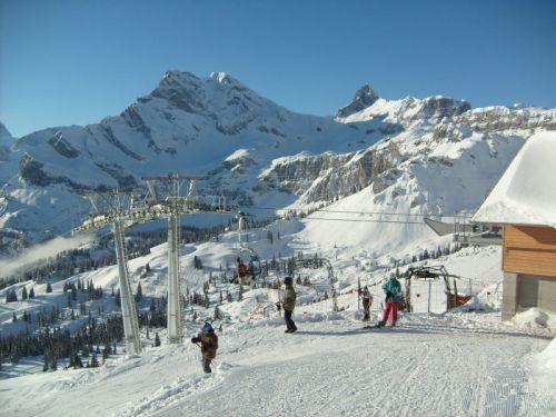 Klicken für Bild in voller Größe