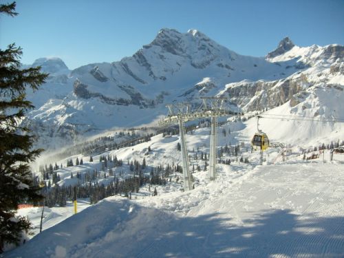 Klicken für Bild in voller Größe